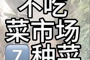 开云app官方入口下载手机版截图4